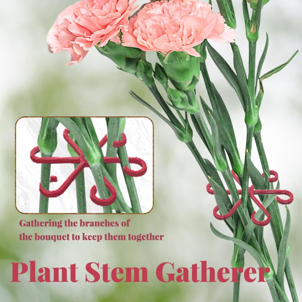 4Pc Plants Stem Support Climbing Houseplant Stand Plastic Trellis Easy Installation Vine Plants Trellis for Indoor Outdoor Plant