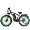 EBIKE 2025 New BLJ DP-2602 2000W Dual Motor 48V 23AH Battery Hydraulic Brake, Aluminum Alloy Frame, Adult Electric Bicycle.