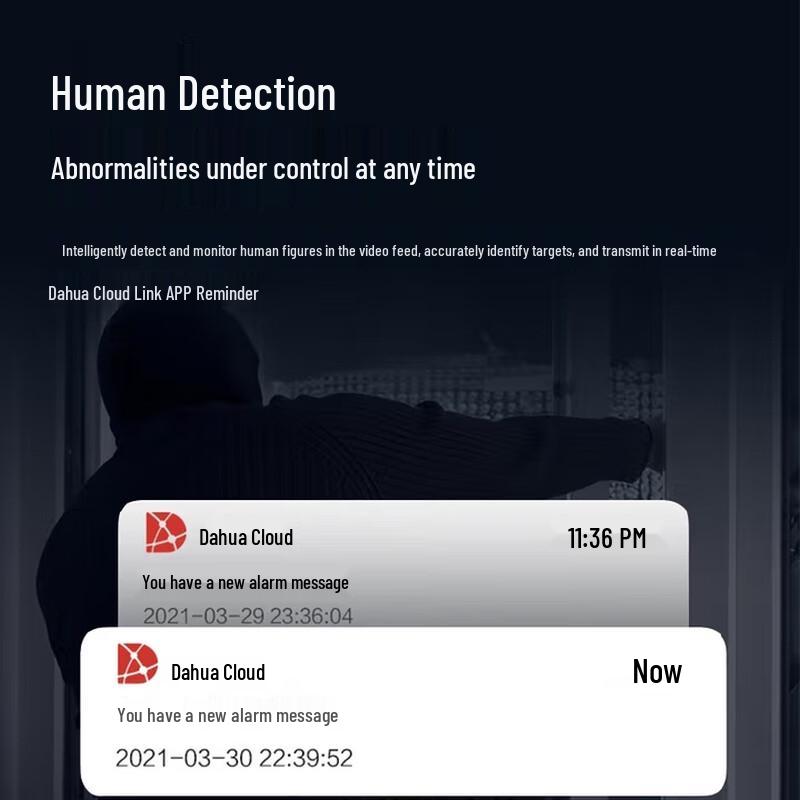 Dahua DH-NVR2210-N-M 8-канальный сетевой видеорегистратор с 2 отсеками и двойным портом, штекер CN (адаптер в комплекте)