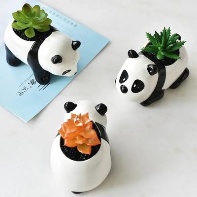 Белый фарфоровый горшок для суккулентов, животное, панда, домашний горшок, керамические садовые принадлежности, украшение для дома в скандинавском стиле, простота