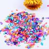 Colorful Crushed Shell Stone Nail Tips & Decorative Gravel for Succulents, Fish Tanks, & Kids' Crafts