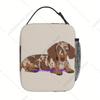 Dachshund Puppy Lunch Box Reusable Oxford Bento Tote Bag Portable Thermal Lunch Bag for Adults Kids Work School Picnic