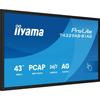 IIYAMA IIYAMA 43' LED