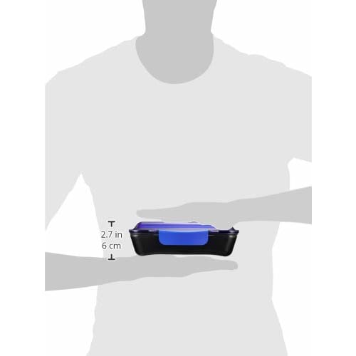 Komori Resin Bento Box, Le Bois Homme Dome Lunch Box, Blue, 750ml, Made in Japan