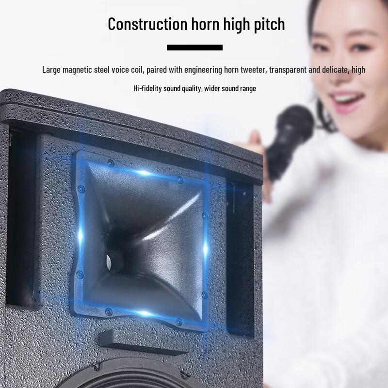 HuiDu MK-10 Professional Passive Stage Speaker
