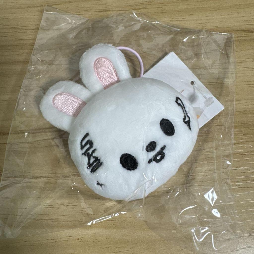 [USED] Straykids KARMA POPUP Skzoo Name Tag Levit