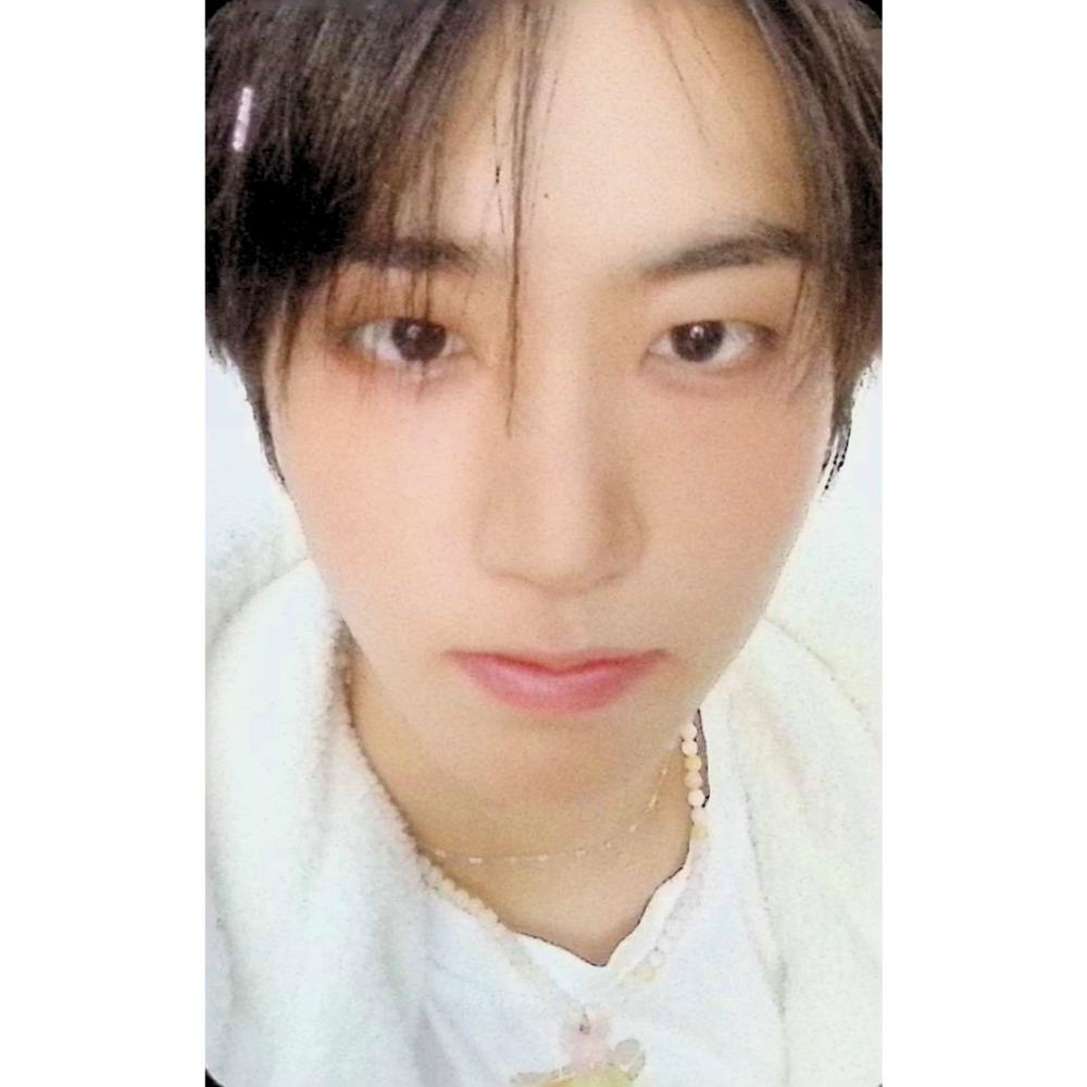 Stray Kids 5часов только POB 8EA SET