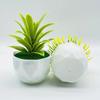 Привлекательное моделирование горшечных растений, долговечное, 2 цвета, устойчивое к ультрафиолетовому излучению.