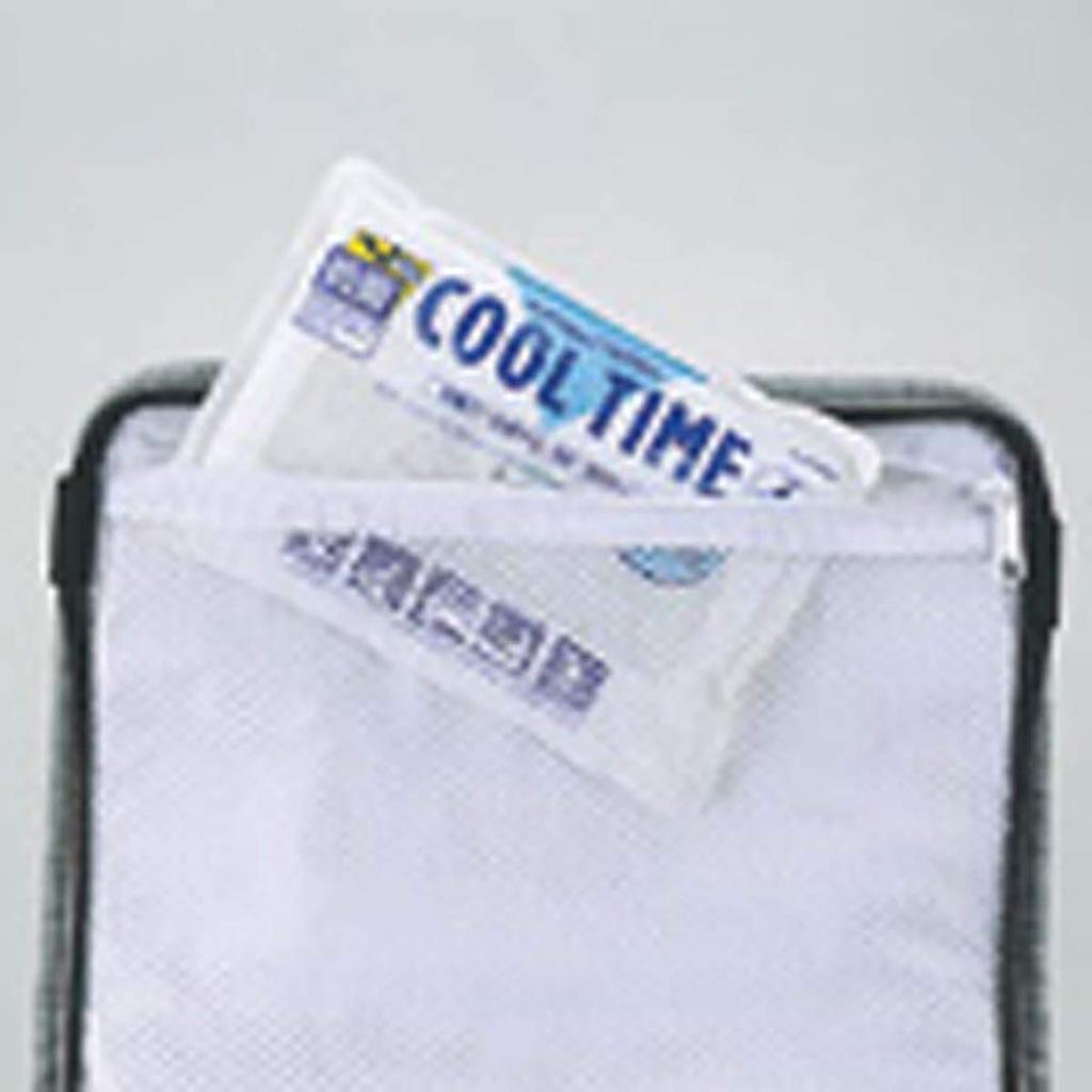 CAPTAIN STAG Delice Silver Soft Cooler Bag 15L M-1851