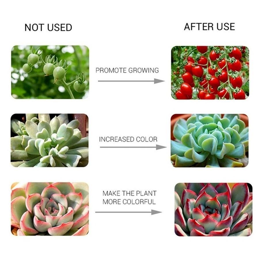 Светодиодная фитолампа Grow COB Chip Phyto с полным спектром переменного тока 220 В/110 В 50 Вт 30 Вт 20 Вт для выращивания рассады растений в помещении и освещения для выращивания цветов