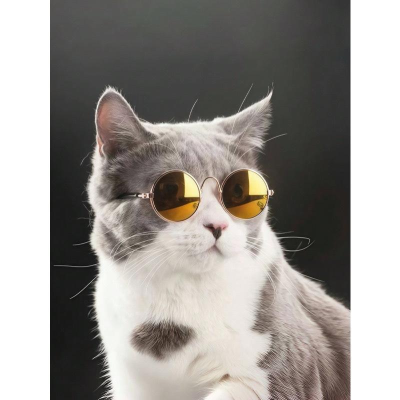 Солнцезащитные очки для питомцев + Набор противоскользящих ремешков, Модные и креативные аксессуары для питомцев, Универсальные разноцветные очки для питомцев, Костюм для питомца на праздник и день рождения