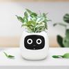 Smart Flowerpot Pet Planter Decors Plant Companion 7 Sensors Gift Flower Vase AI