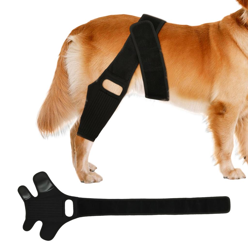 Pet Knee Brace Adjustable Comfortable Dog Leg Hip Brace Support Bar for Dog Hip Luxating Patella Post-operative Fixation New