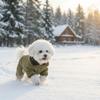 winter jumpsuit for dogs of small and medium breeds (L-khaki-kaqi)