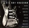 CD VARIOUS - Tribute to Stevie Ray Vaughan EK67599 Epic 1996 US Rock Used