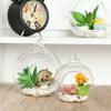 Open Mouth Microlandscape Container Fillable Bauble Christmas Decoration Bottle Clear Glass Ball