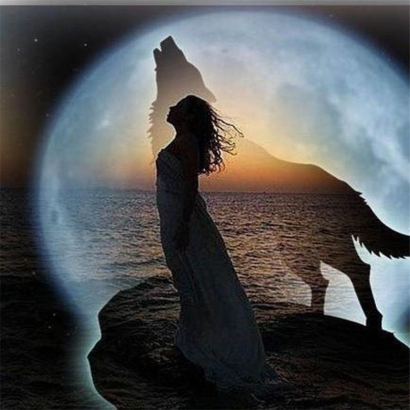 5D Diy Diamond Painting Girl and Wolf Diamond Embroidery Full Lay Anime Cross Stitch Kits Home Decor Handmade Gift