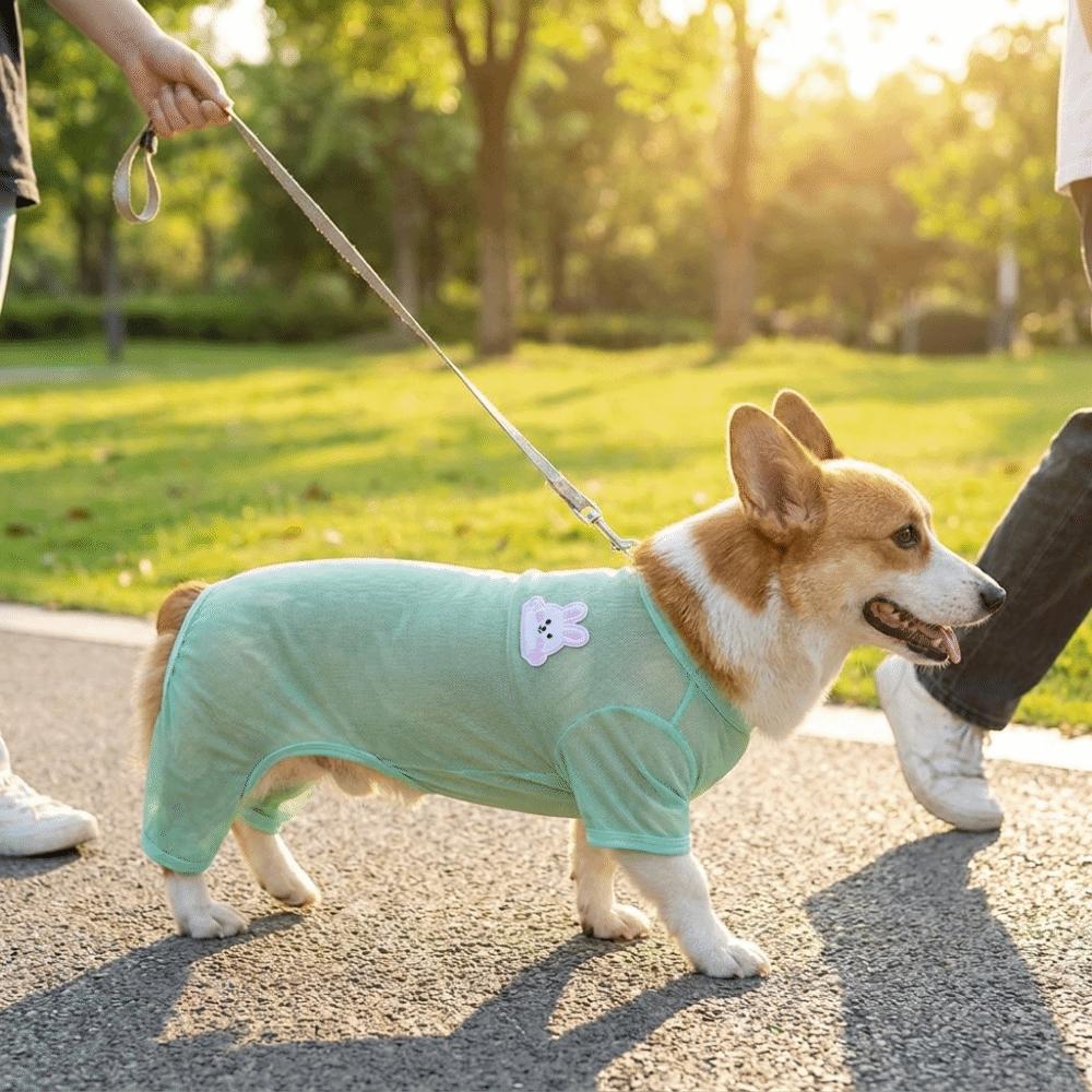 Breathable Pet Summer Clothes Sun-proof Dog Cooling Jumpsuit Dog Sunscreen Clothes Summer Season