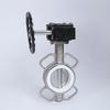 Stainless Steel Worm Gear PTFE Butterfly Valve with Double Flange and Manual Handle D371F-10P