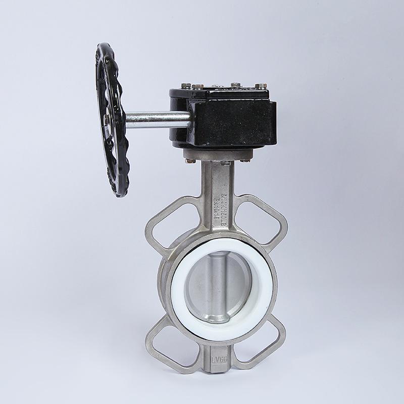Stainless Steel Worm Gear PTFE Butterfly Valve with Double Flange and Manual Handle D371F-10P