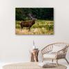 Canvas Print, Deer On a Roar