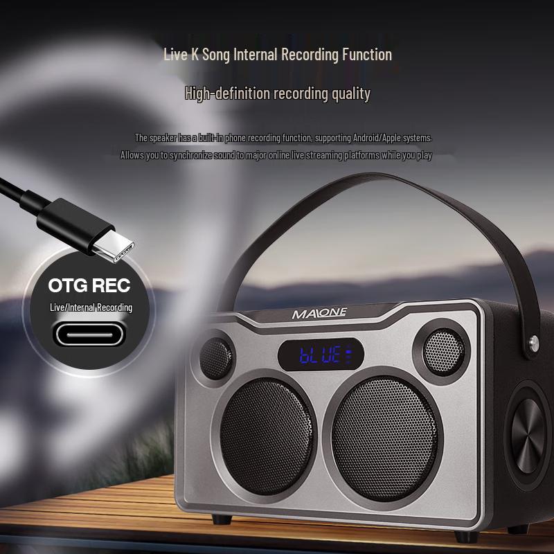 Malone Portable Bluetooth KTV Speaker Amplifier CN plug (adapter included) (CN version)