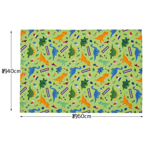 Skater Large Placemat, 60x40cm, with Name Tag, Dinosaur, LTM1-A