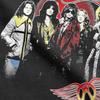 Футболки с изображением группы Rock Aerosmith, одежда для мужчин и женщин, хлопковая футболка для отдыха, топы с коротким рукавом, подарок на день рождения