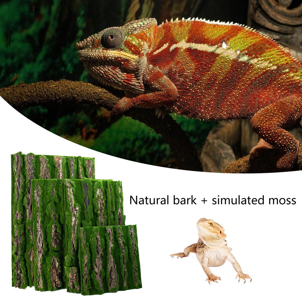 Natural Bark Moss Backdrop Board for Terrariums and Reptile Safe and Mold Resistant Habitats Background for Amphibian