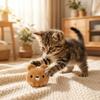 Bite Resistant Plush Dog Toy Ball Soft Squeaky Dog Toy Cute Dog Training Toy Ball  Fetch Play