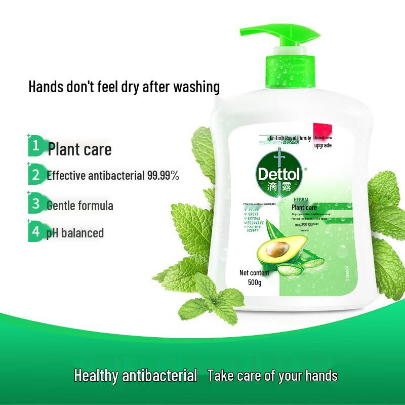 Dettol Botanical Antibacterial Hand Wash 500g