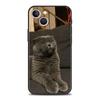 Британская короткошерстная кошка Роскошный чехол для телефона Для iPhone 11 12 13 14 15 16 Pro Max Mini X XR XS 7 8 Plus SE Силиконовый чехол Черный Funda