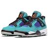 Мужские кроссовки Air Jordan 4 Golf NRG Torrey Pines Teal New-Emerald Grape-Ice CZ2439-300
