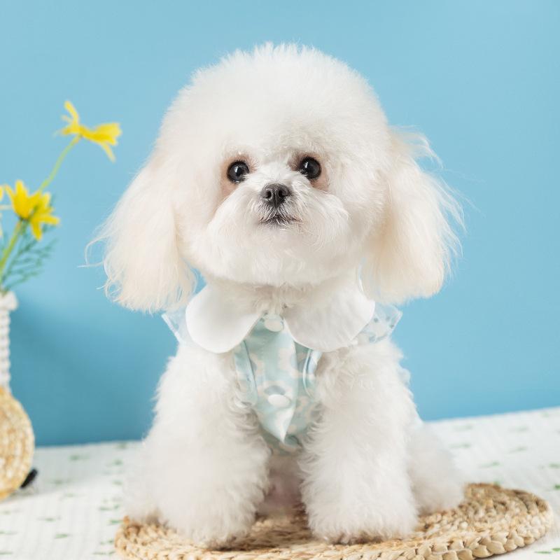 New Teddy Bigbear Pet Lace Dress Small and Medium Dogs Spring and Summer Breathable Cat and Dog Clothes