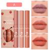 12 Colors Lips Makeup Lipstick Lip Gloss Waterproof Non-marking Lipstick Long Lasting Moisture Cosmetic Lipstick 3pcs Suit