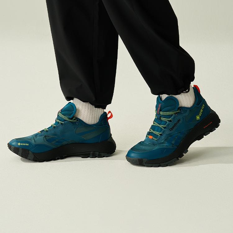 Reebok Dmx Trail GORE-TEX 'Escape Blue' 100200883