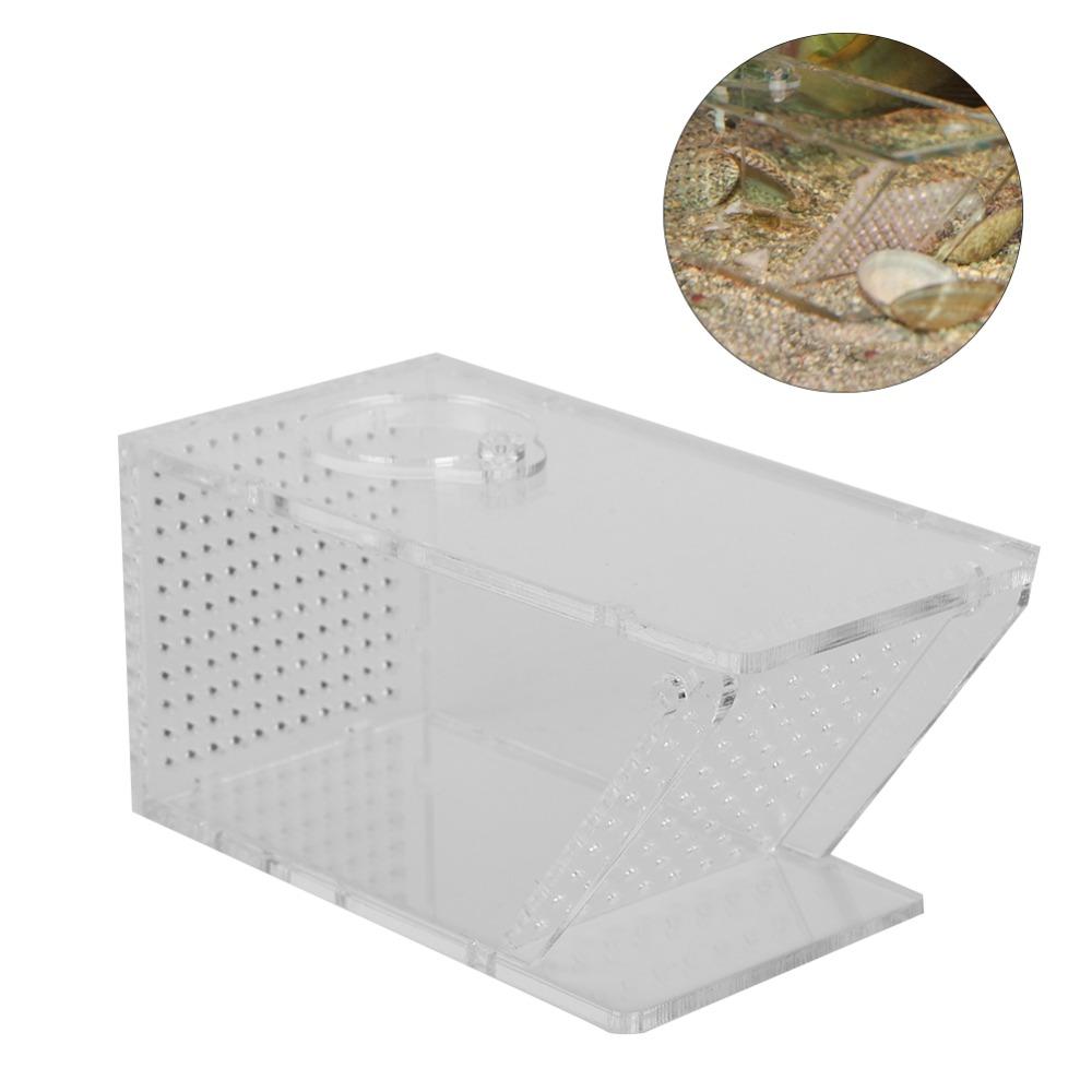 Transparent Fish Tank Trap Acrylic One Way Trap Durable Shrimp Catcher Reptile Terrarium