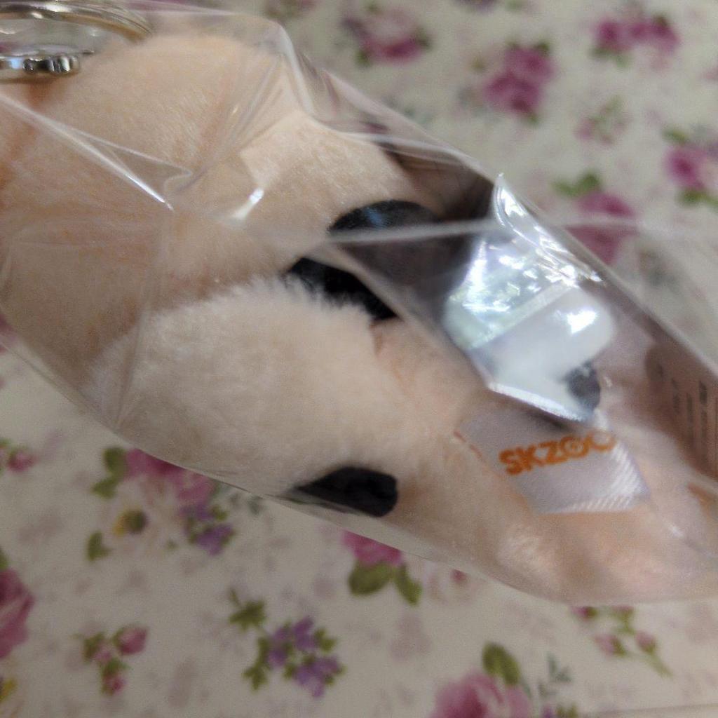 [Б/У] skzoo Сынмин Папим 10 см Плюшевый Магнитный Брелок