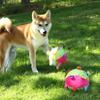 Bite Resistant Handle Dog Toys Plush Dog Squeak Ball Toys Funny Dog Chewing Ball  Pet Supplies