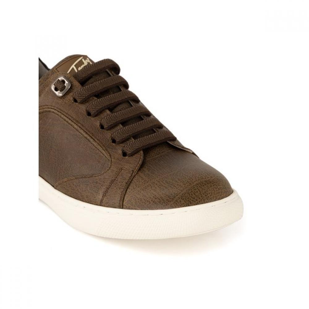 Tandy Men S SneakerS Ca 1202