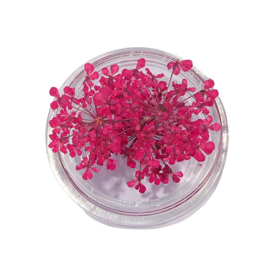 1 коробка подвески для ногтей, не выцветающие, «сделай сам», легко наносятся, изысканные красочные натуральные цветы, художественное украшение для маникюрного магазина