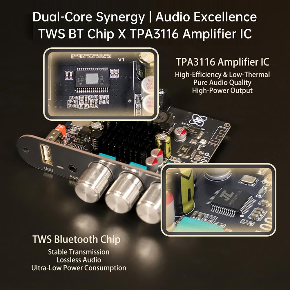 Автомобильный усилитель звука DC 12-24V T1001P Mono 100W BT с регулировкой высоких и низких частот, Tws True Wireless, поддержка приложения, на базе TPA3116