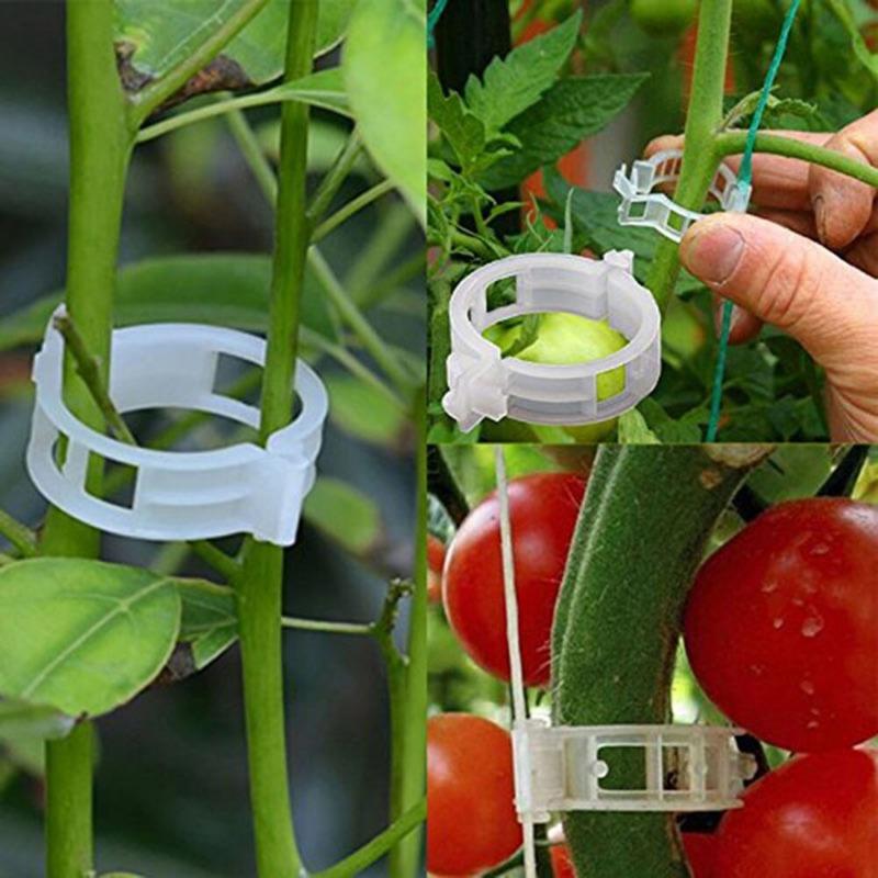 50/100pcs Reusable Plastic Plant Clips Supports Connects Protection Grafting Fixing Tool Gardening Supplies for Vegetable Tomato
