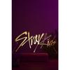 Straykids K-pop 16-цветный ночник с контролем цвета