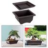 Durable Bonsai Training Pots with Tray - Ideal for Home and Garden