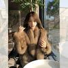 Premium Environmentally Friendly Fox Fur Short Coat Fur Winter New Thickened Brown Fur Coat