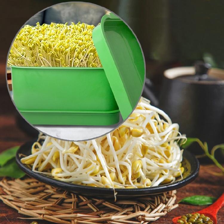 Sprout Growing Kits Bean Sprout Tray Sprouting Tray for Mung Wheatgrass Indoor