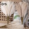 10Pcs Faux Pampas Grass Decor Flower Arrangement Art Vase Filler Artificial Pompous Grass Wedding Party Scene Arrangement Boho Style Home Decoration