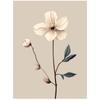 White Anemone - Minimalist Beauty White Anemone - Minimalist Beauty, 30X40 Cm, Dark Brown Wooden Frame, 230 Gsm Matte Paper