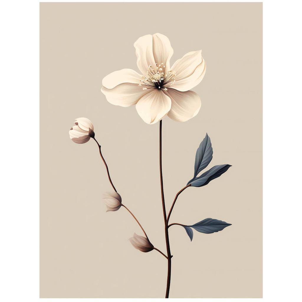 White Anemone - Minimalist Beauty White Anemone - Minimalist Beauty, 30X40 Cm, Dark Brown Wooden Frame, 230 Gsm Matte Paper